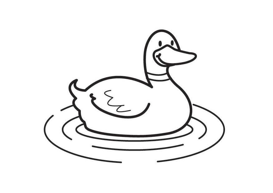 dibujos para colorear pato