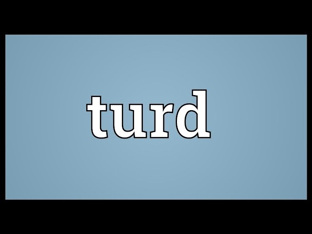 turd meaning in hindi