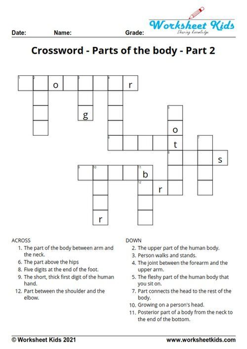 body part tree crossword clue