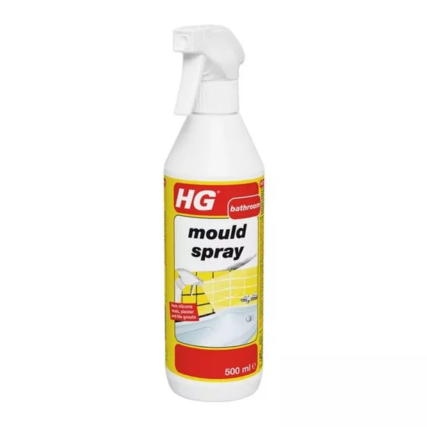 b and q mould spray
