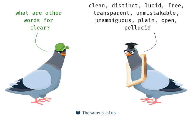 synonyms of clear