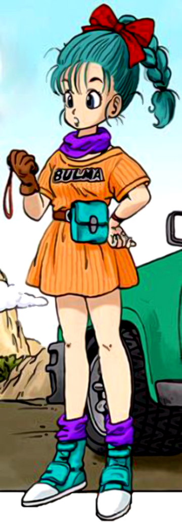 bulma db