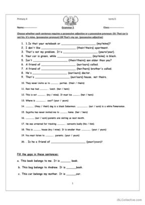 possessive pronouns exercises doc