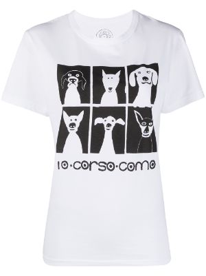 corso como dog