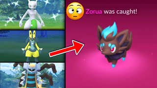 magikarp turned into zorua