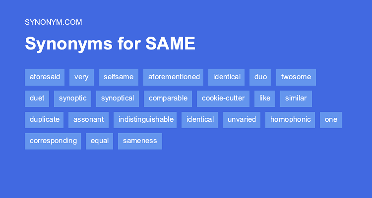 sameness synonym