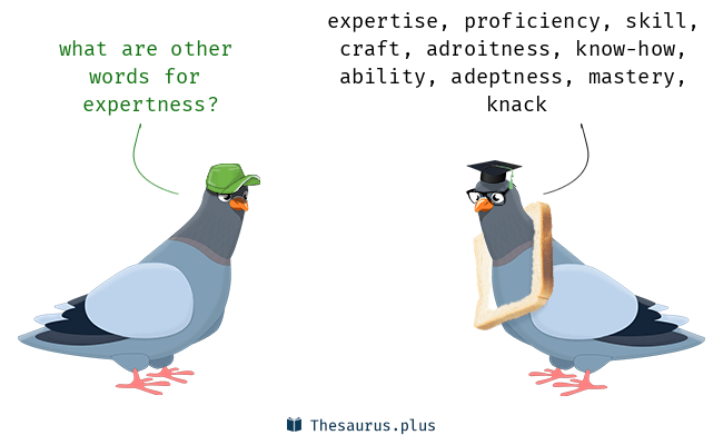 expertise thesaurus