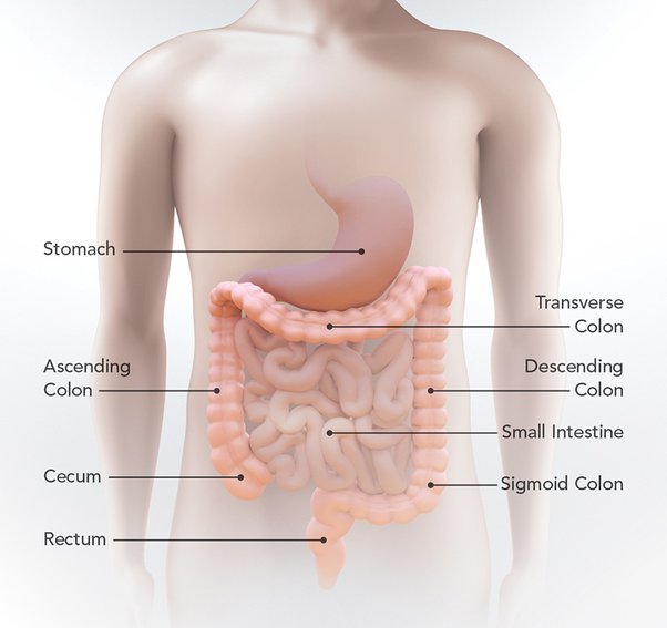 pain right side abdomen under ribs