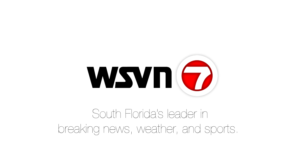 wsvn