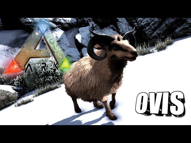 ark survival evolved ovis