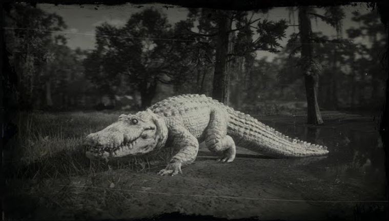 red dead redemption 2 legendary alligator