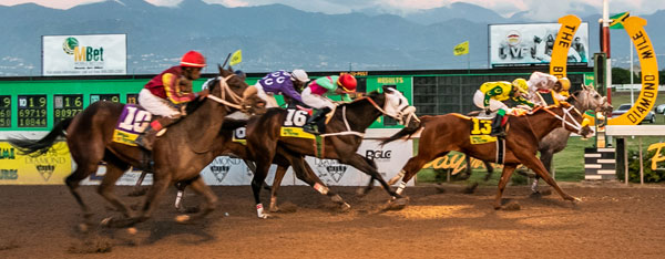 caymanas race track