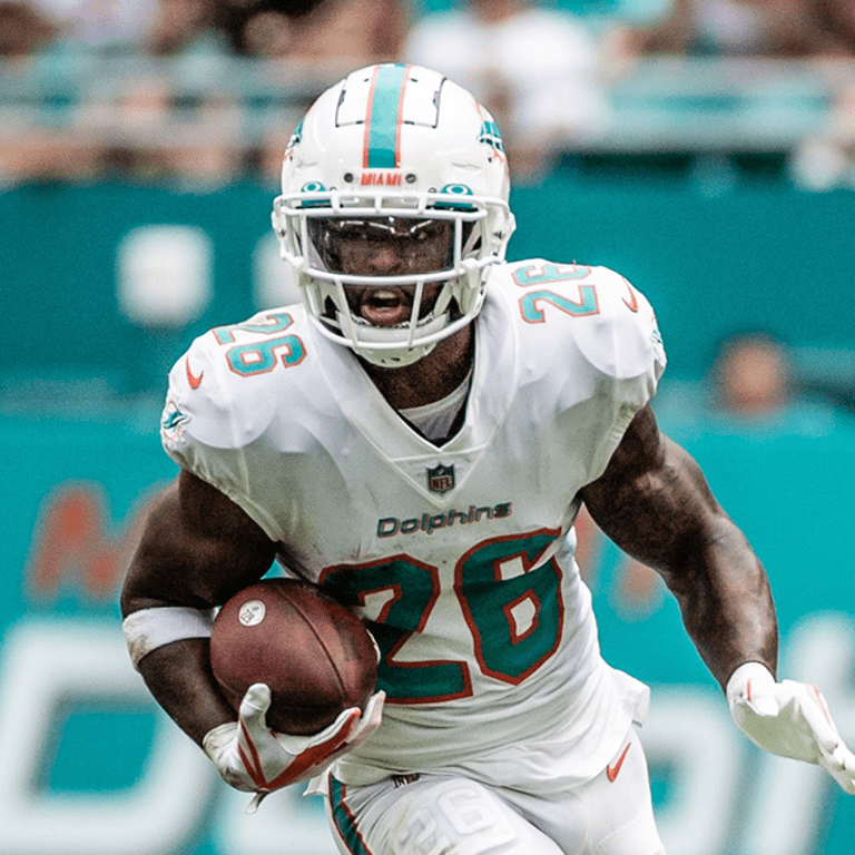 dolphins rb