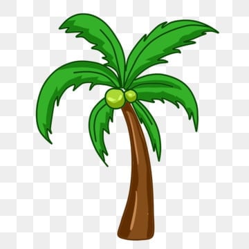 coconut tree clipart png