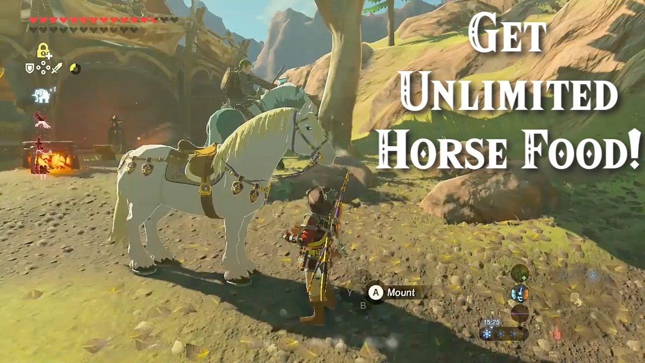 botw feed horse