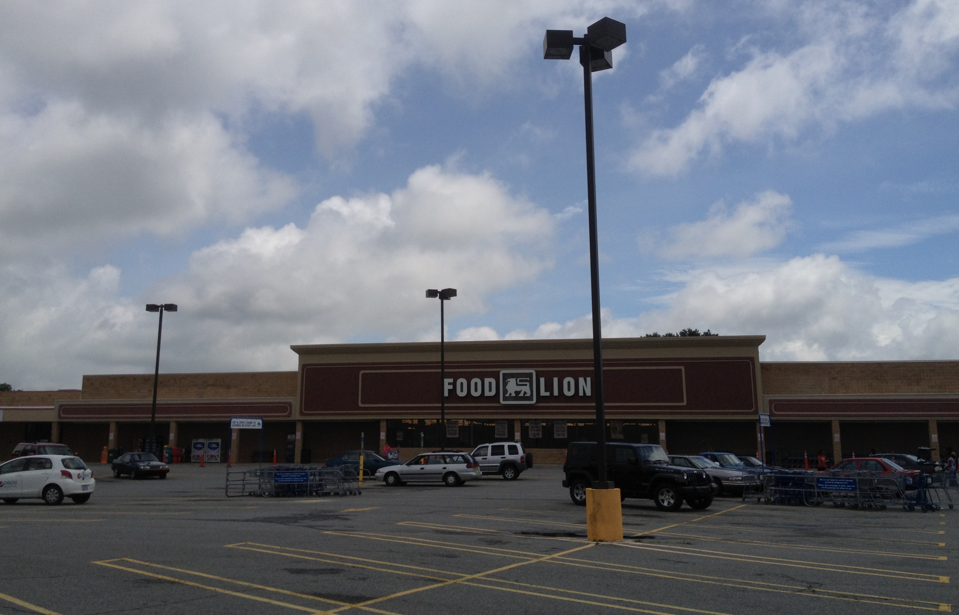 food lion eden nc