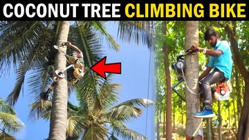 coconut tree climber near me