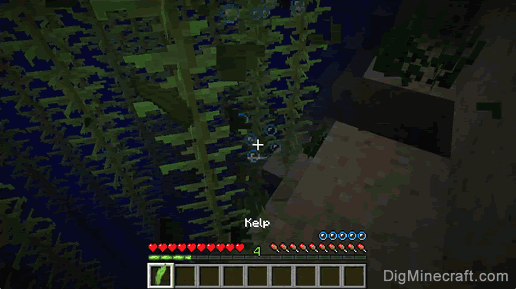 how to get kelp in minecraft