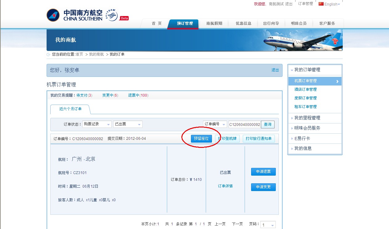 china southern online check in