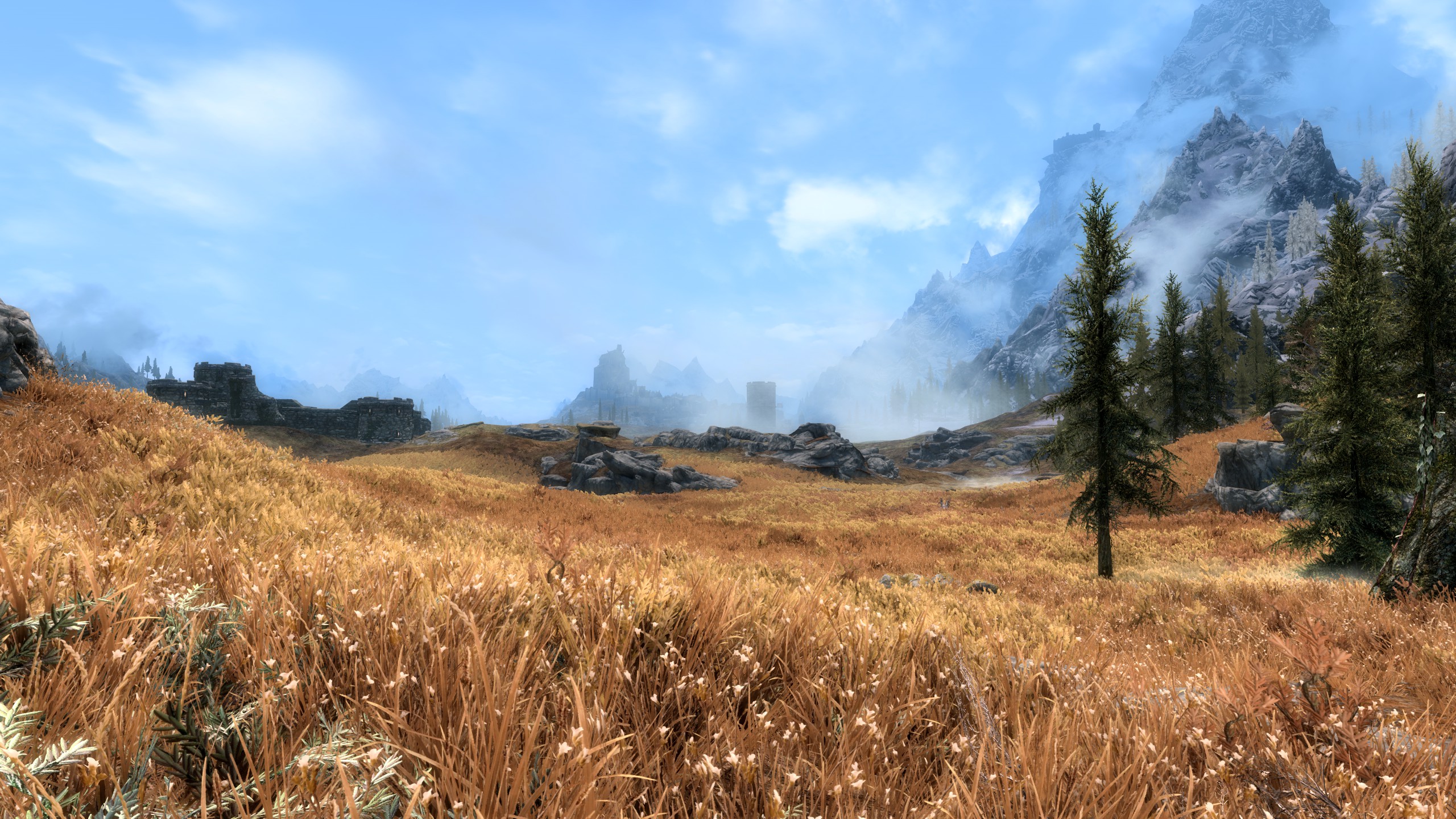 skyrim se grass mod