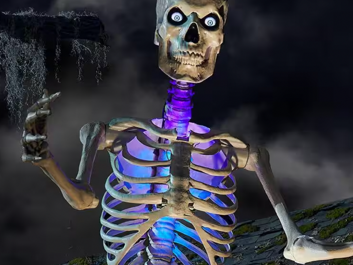 12 ft skeleton for sale