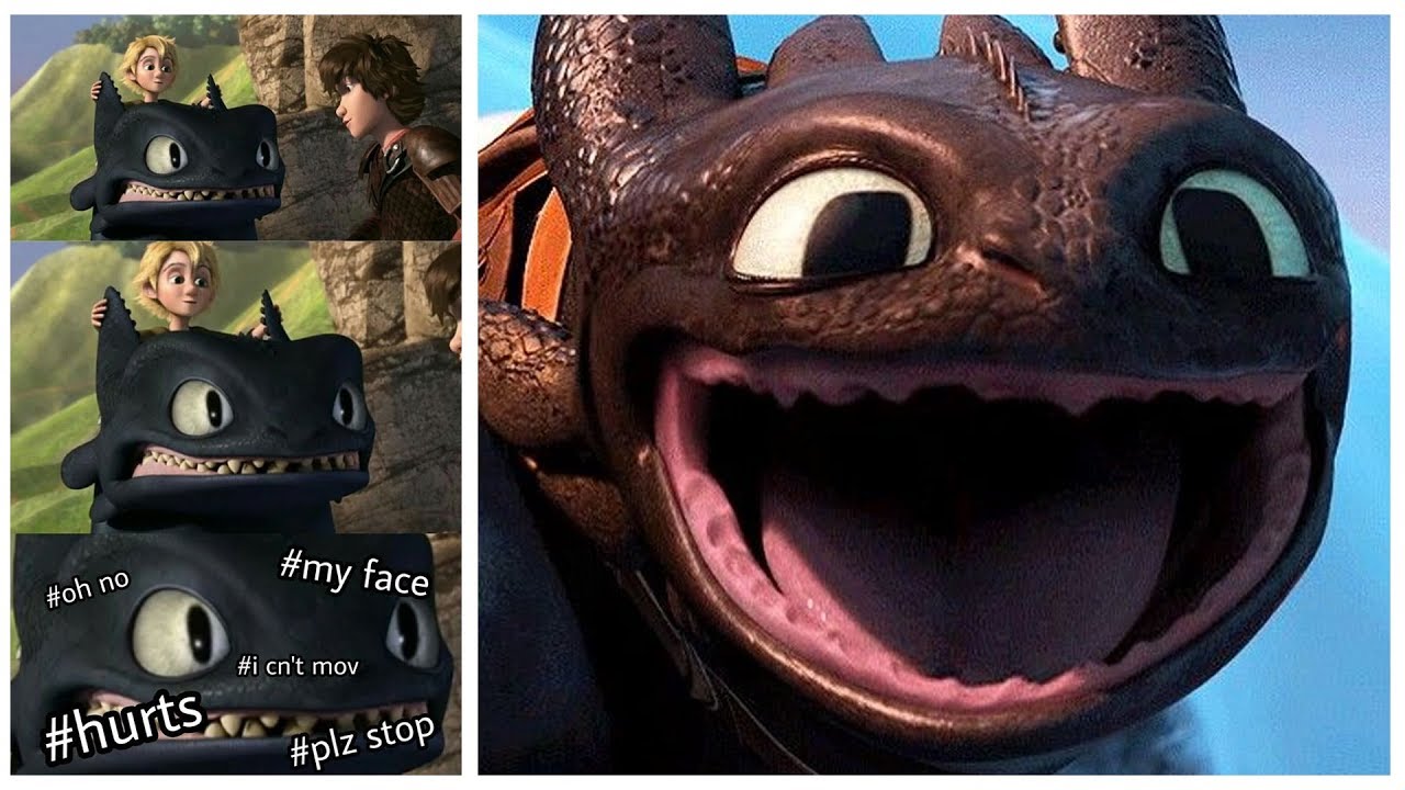 how to train your dragon memes