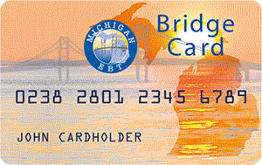 ebt card balance michigan