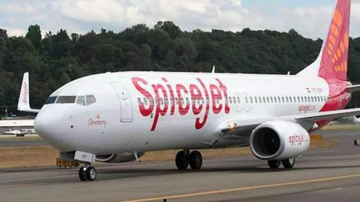 spicejet flight status