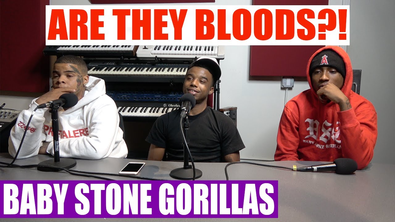 gorilla stone bloods