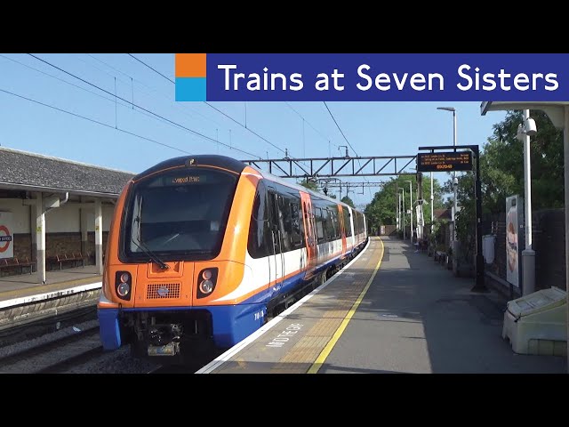 trains to seven sisters