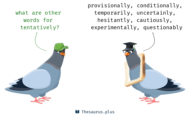 tentatively synonym