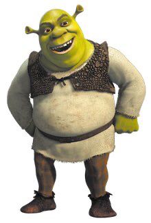 shrek vest