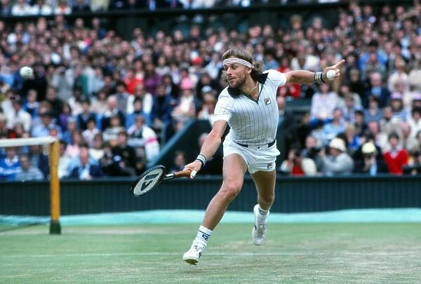 wimbledon 1981