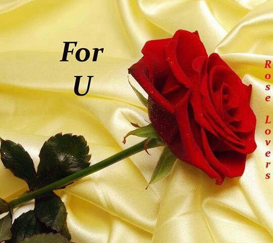 just for u