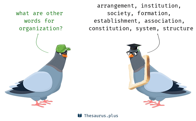 organization synonym