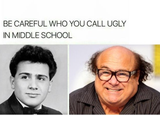 danny devito memes