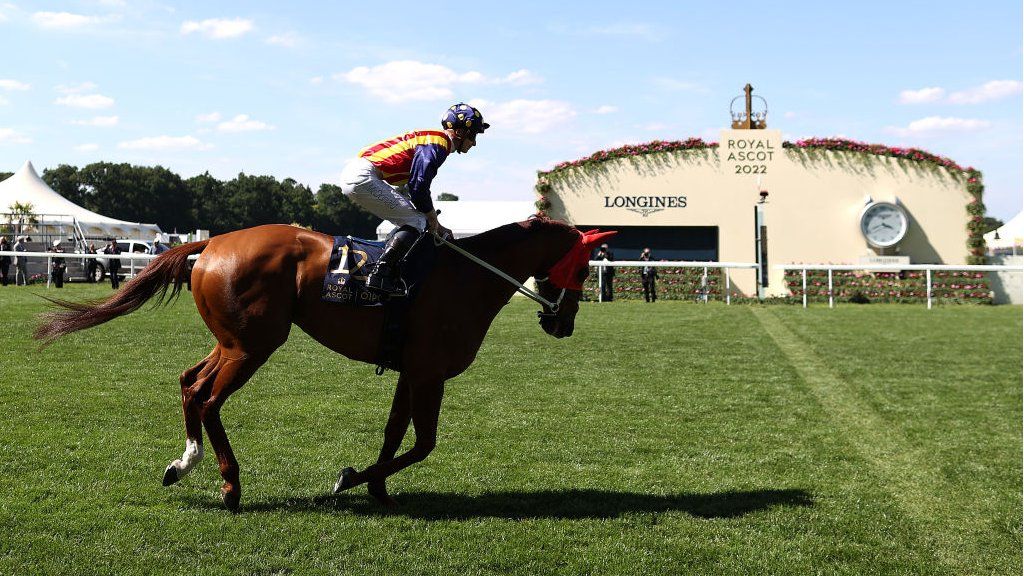 ascot australia racing results