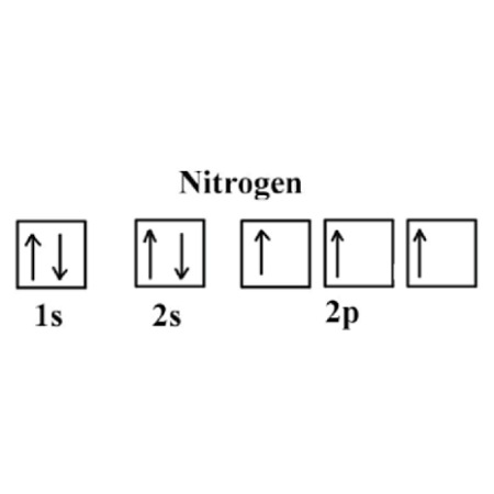 orbital diagram for nitrogen