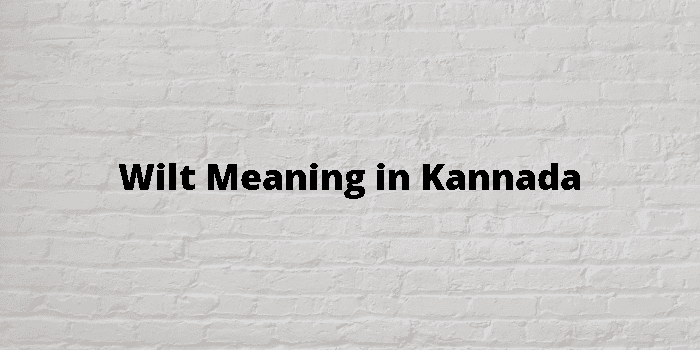 wilt meaning in kannada