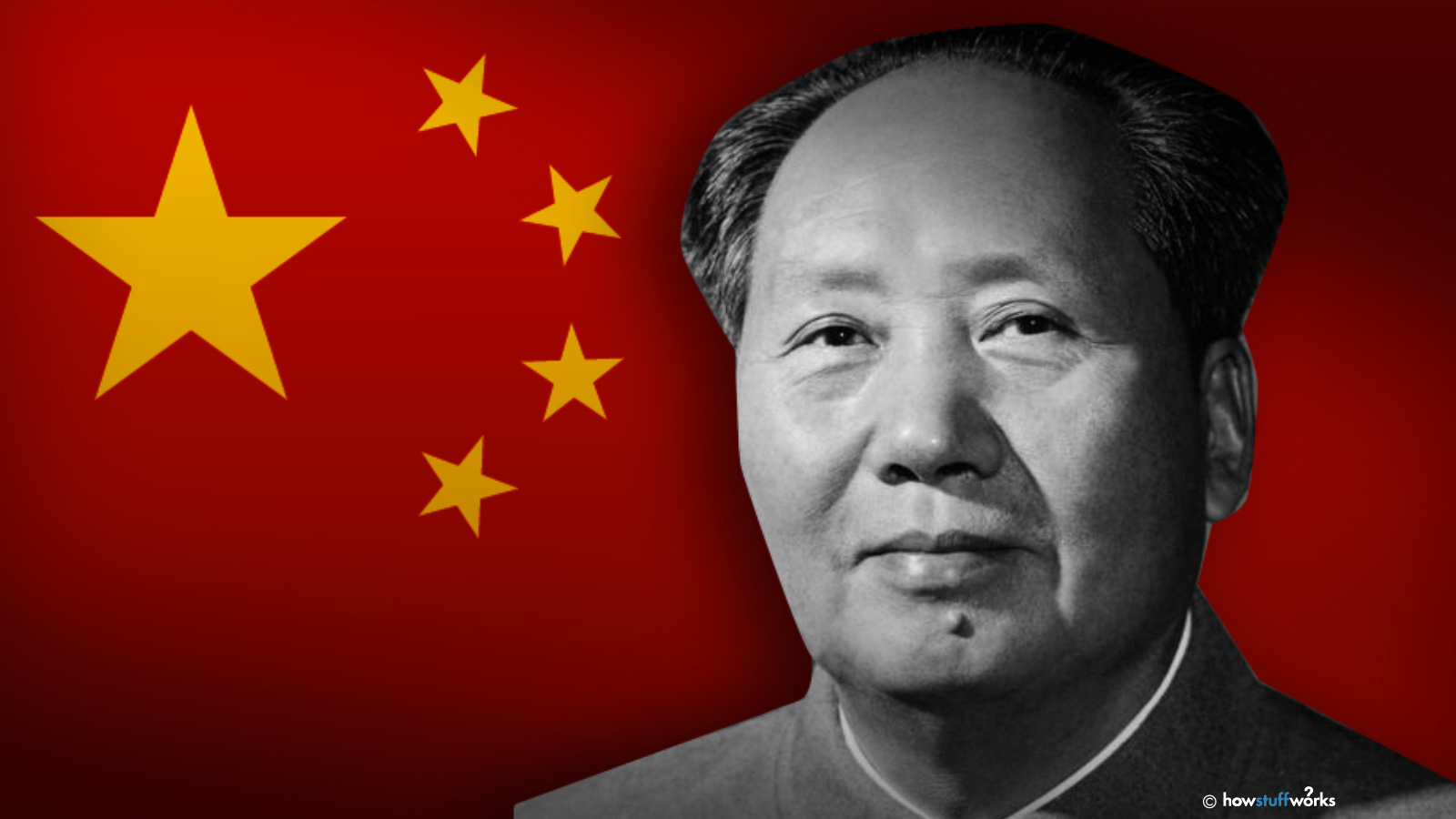 how many people did mao zedong kill