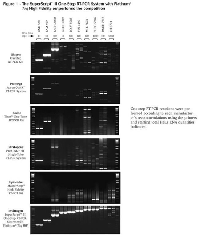 superscript iii one step rt pcr system