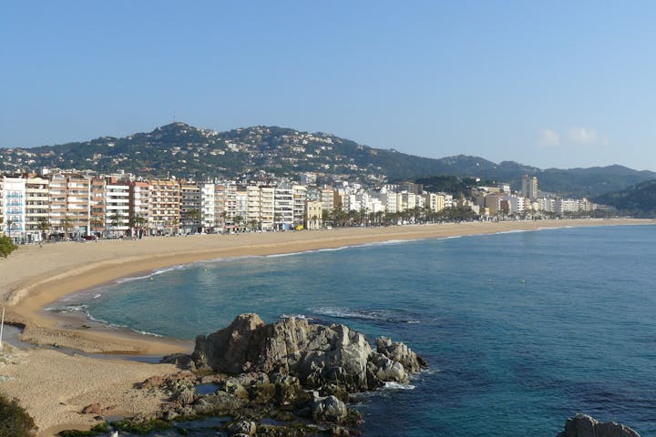 autobuses conil el palmar