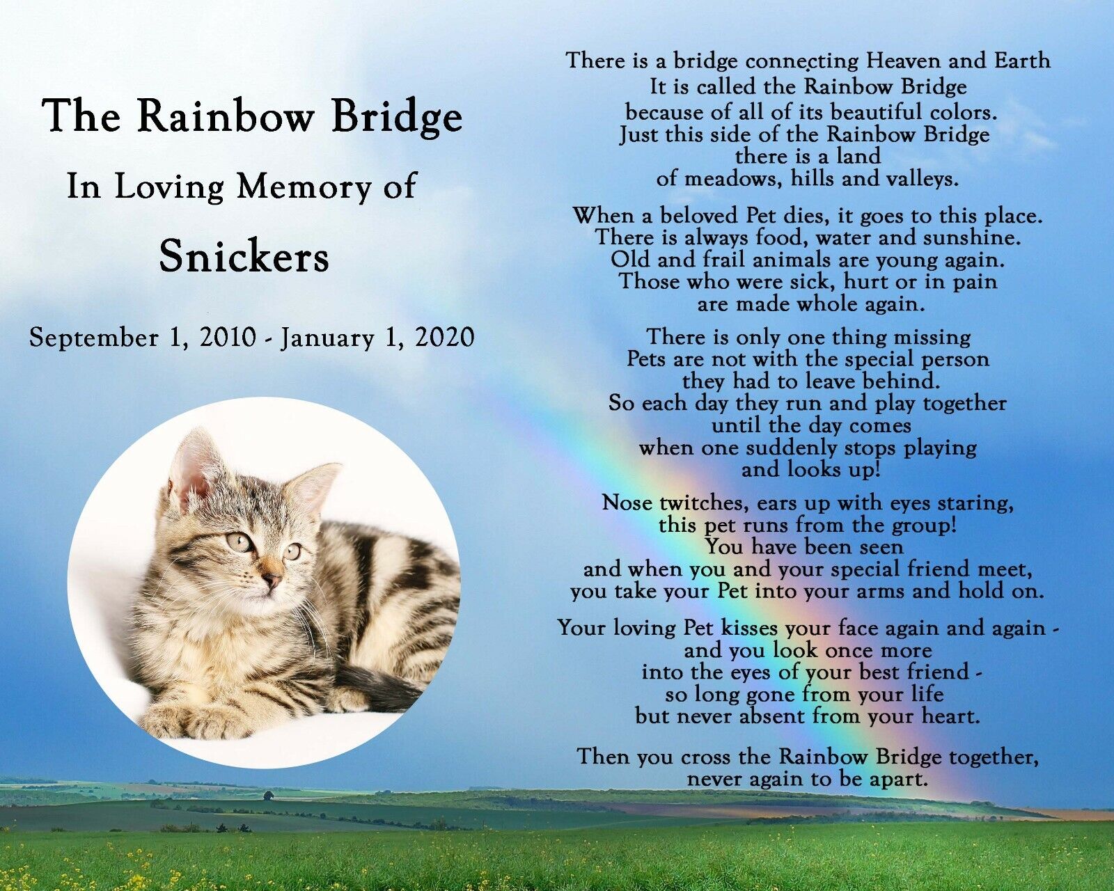 cat poem rainbow bridge