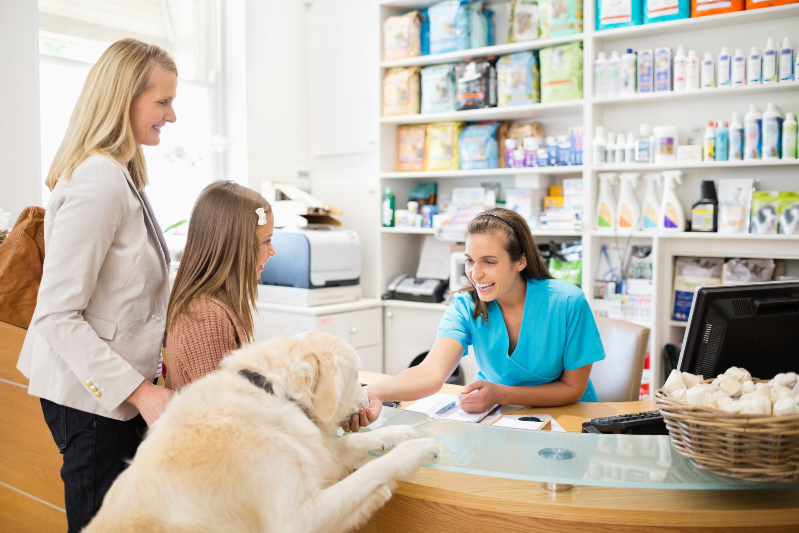 vet receptionist