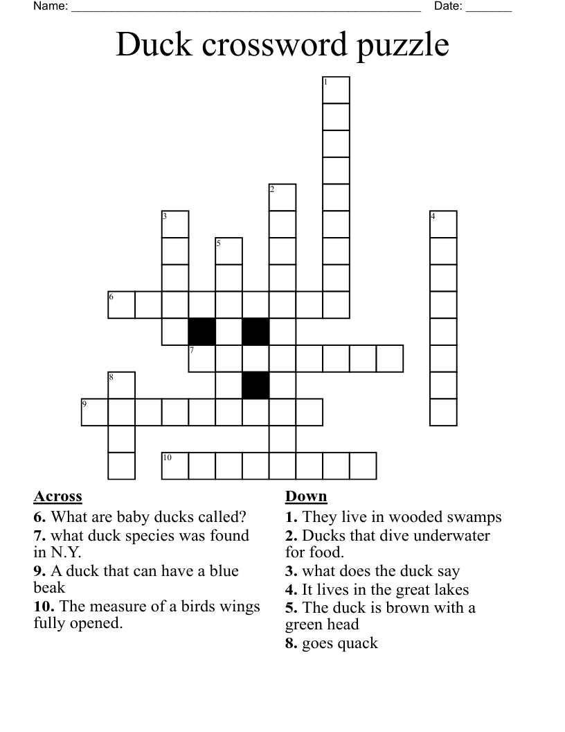 male duck crossword clue