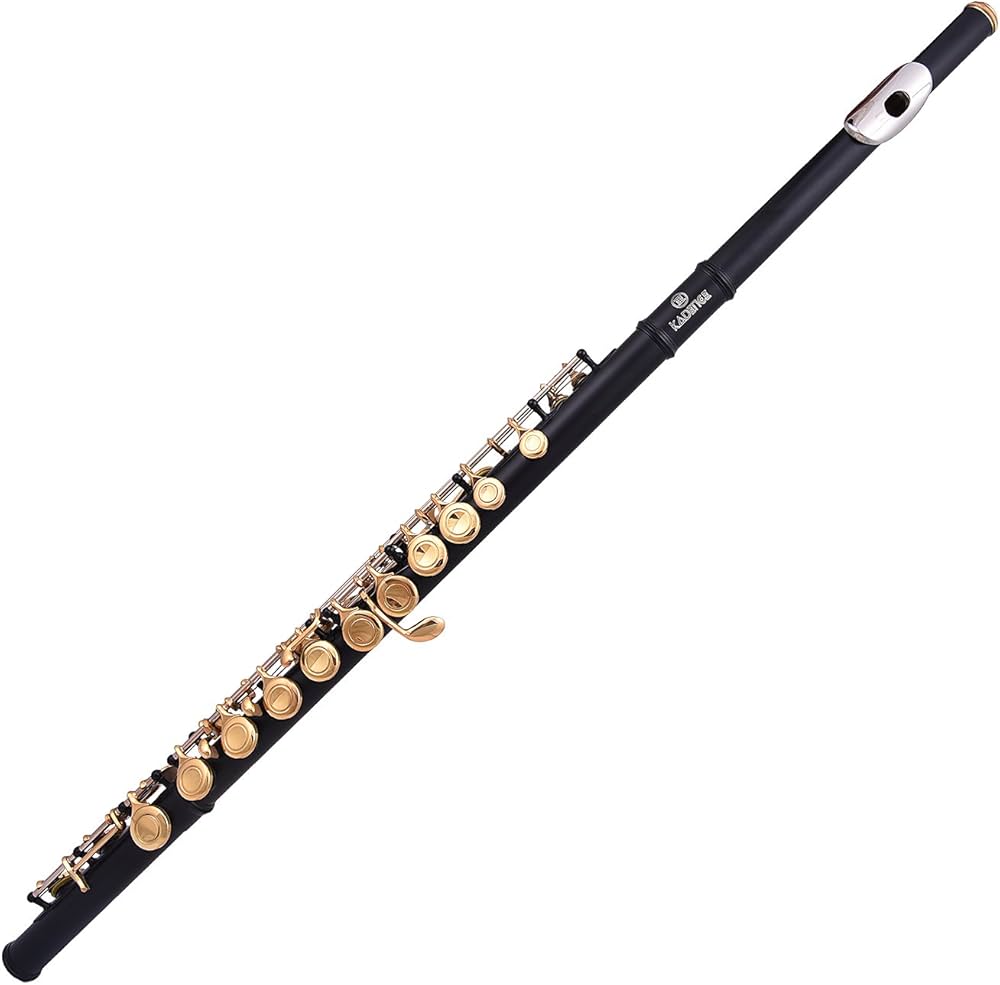 flute price for beginners