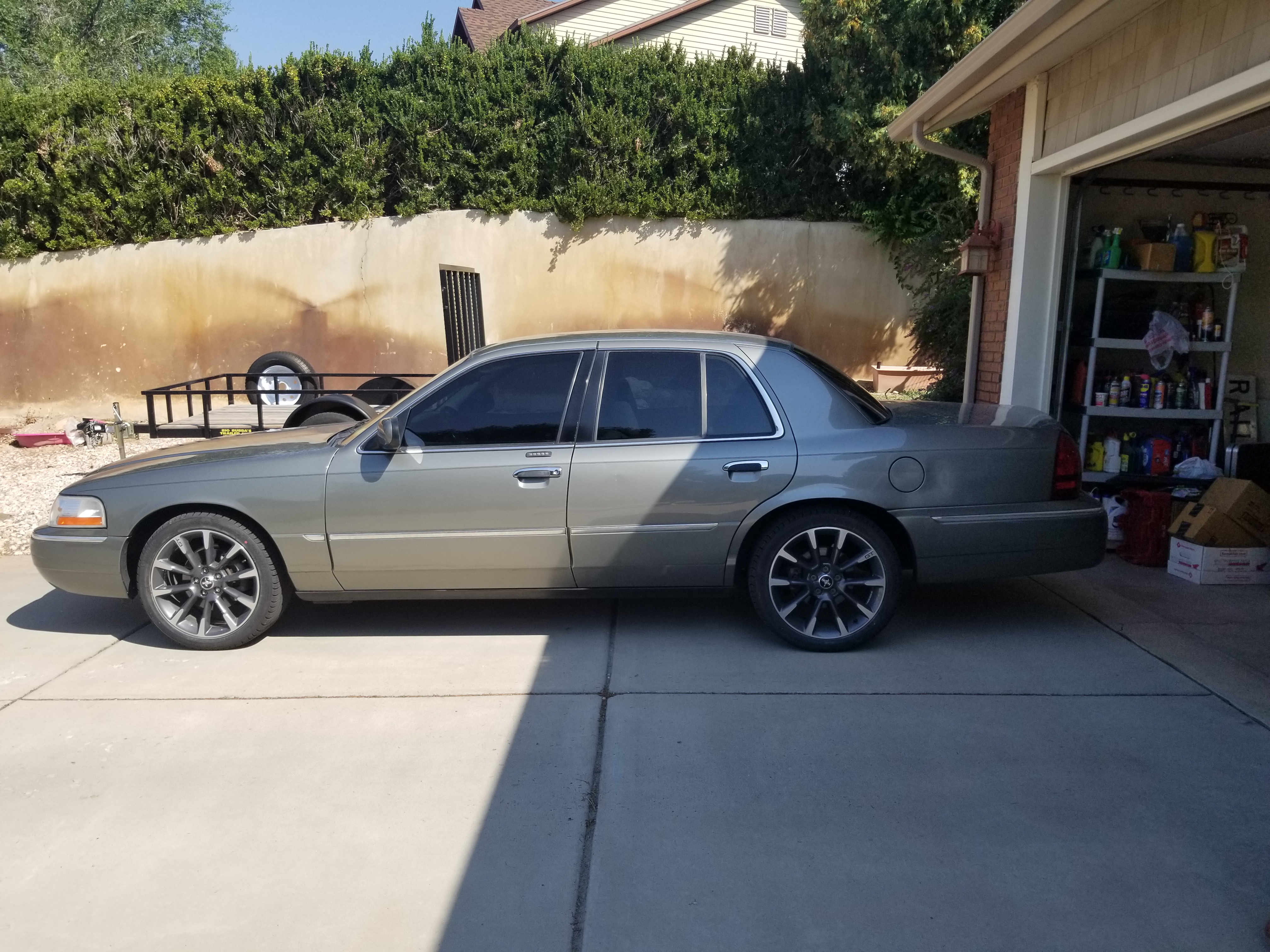 marty tune grand marquis