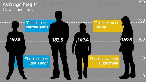 1.81m height in feet