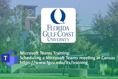 fgcu canvas login