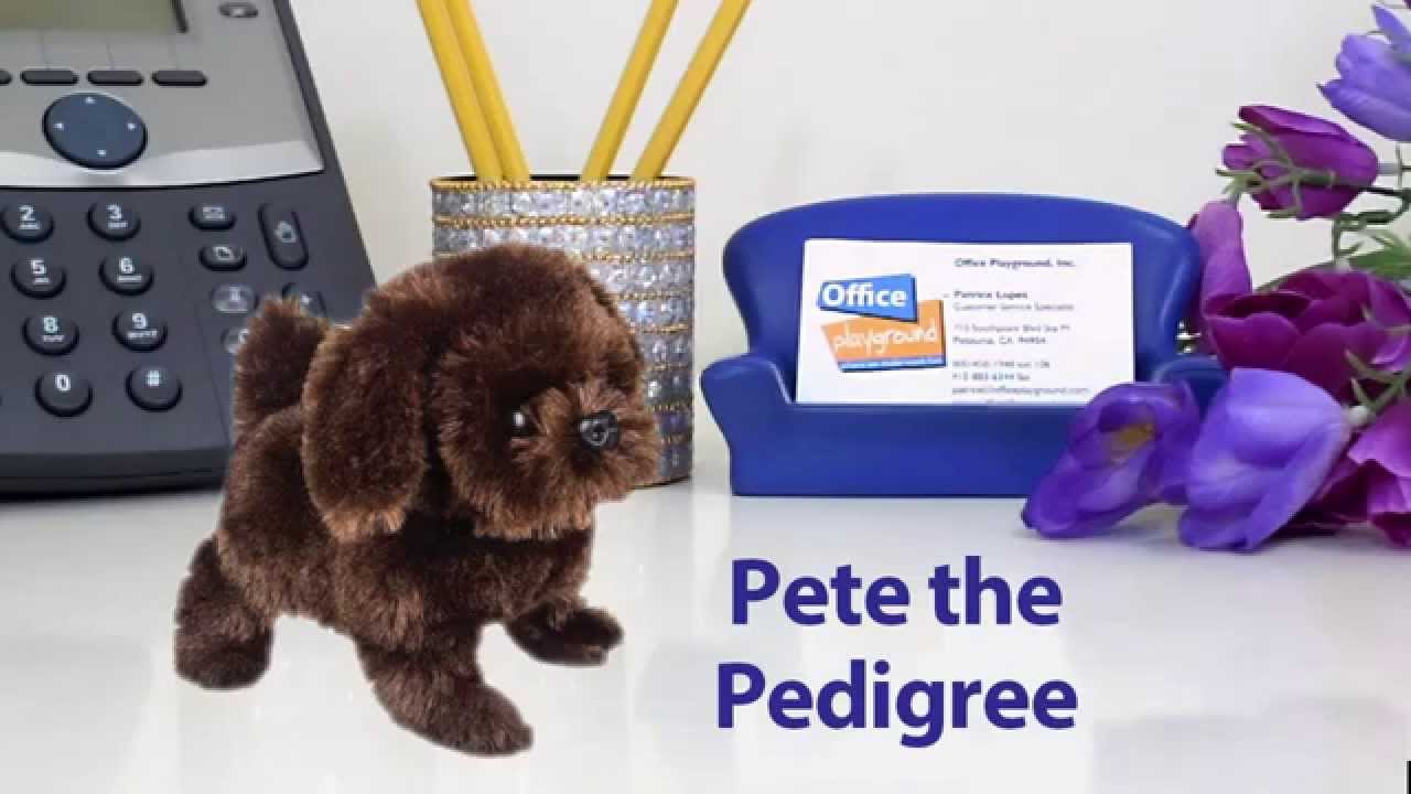 pete the pup pedigree